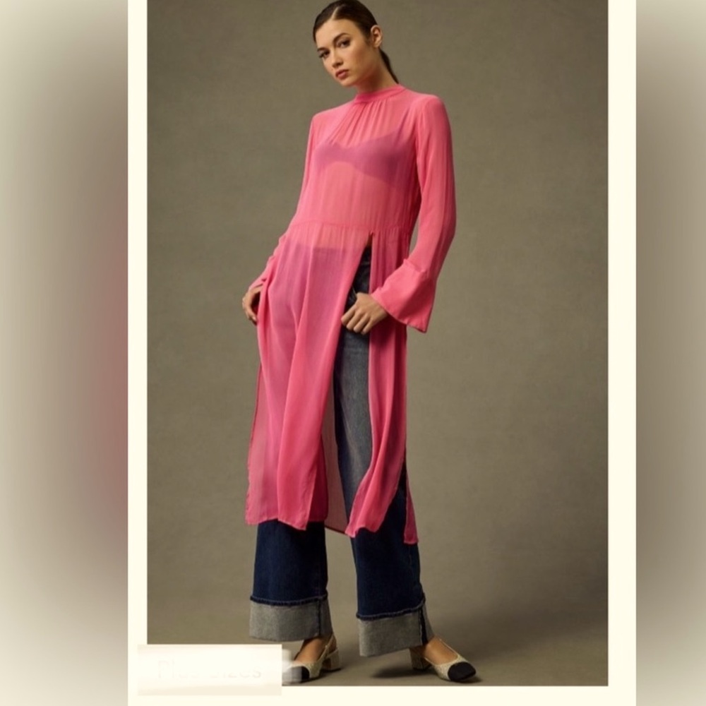 Anthropologie long sleeve sheer tunic dress